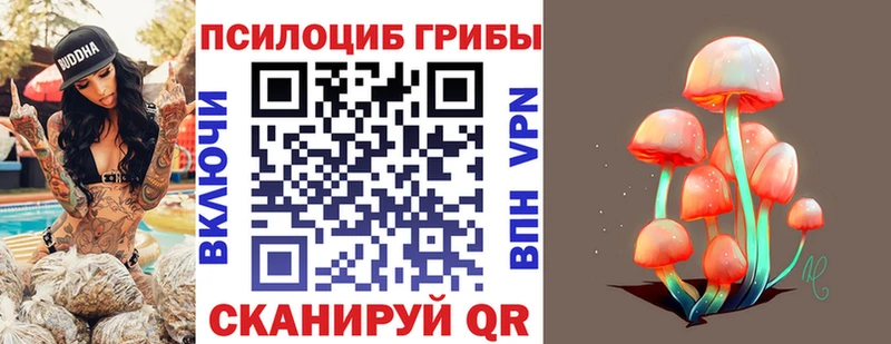 где найти наркотики  Истра  Галлюциногенные грибы Magic Shrooms 