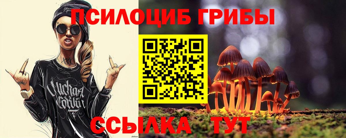 где купить наркотик  Вход с VPN  Истра  Псилоцибиновые грибы ЛСД 