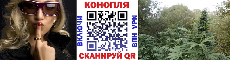 Шишки марихуана планчик  Истра 